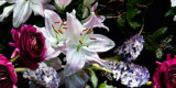 FW4065 1