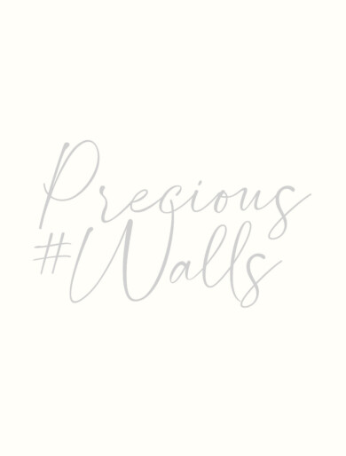 Precious walls book cover